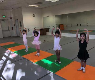 Professional Dance Training, Students, Exercise Body, Cultivate Sentiments,,专业舞蹈，锻炼身体