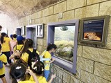 短途旅行 (29).jpg