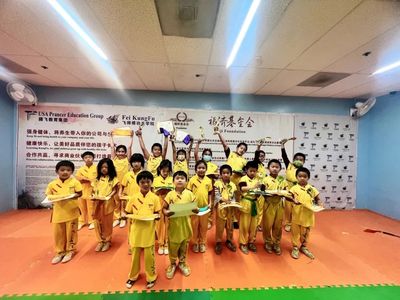 Feiteng Bilingual-after school, Chinese, Kung Fu,中国功夫