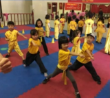 kungfu.png